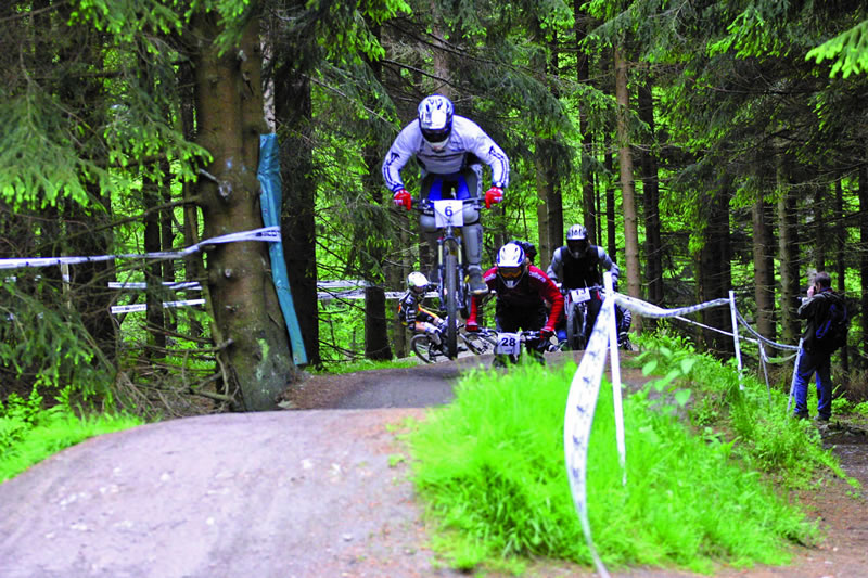 Bikepark Willingen Strecke